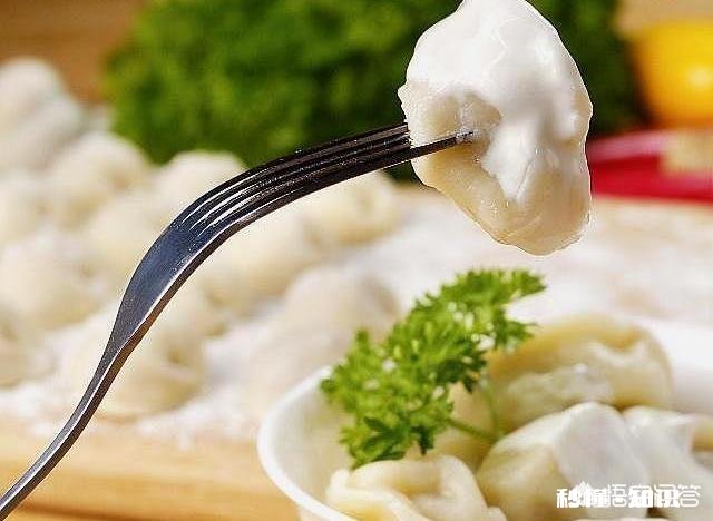 究竟是韭菜猪肉馅饺子好吃还是白菜猪肉馅饺子好吃