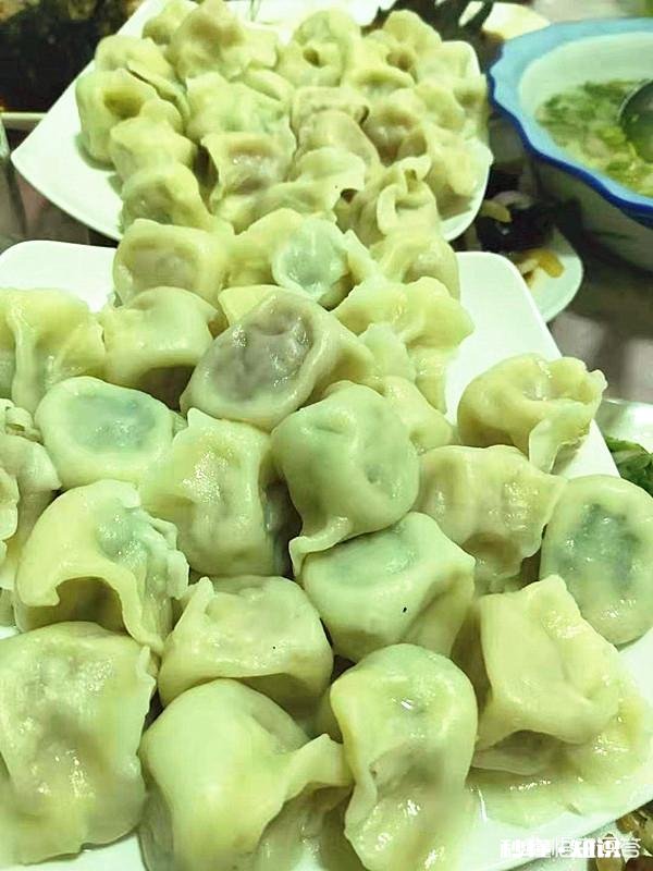 究竟是韭菜猪肉馅饺子好吃还是白菜猪肉馅饺子好吃