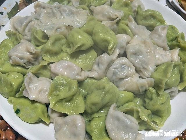 究竟是韭菜猪肉馅饺子好吃还是白菜猪肉馅饺子好吃