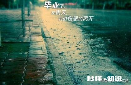 有没有一首歌让你泪流满面并且单曲循环