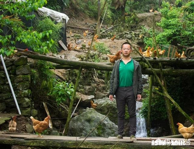 城里人买不到真正的土鸡，农民养的土鸡有卖不上价格这个问题有没有解决的办法