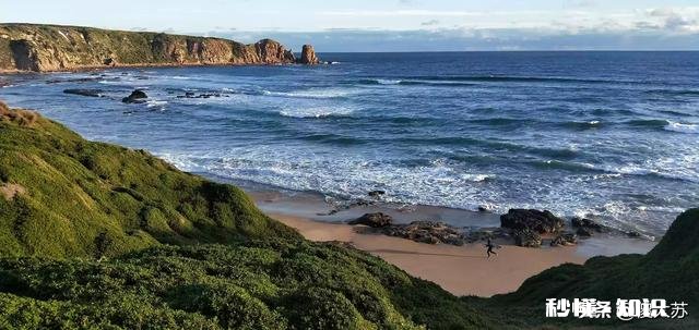 陪伴是最长情的告白，而你缺席了多少陪伴