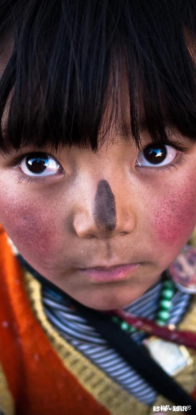 陪伴是最长情的告白，而你缺席了多少陪伴