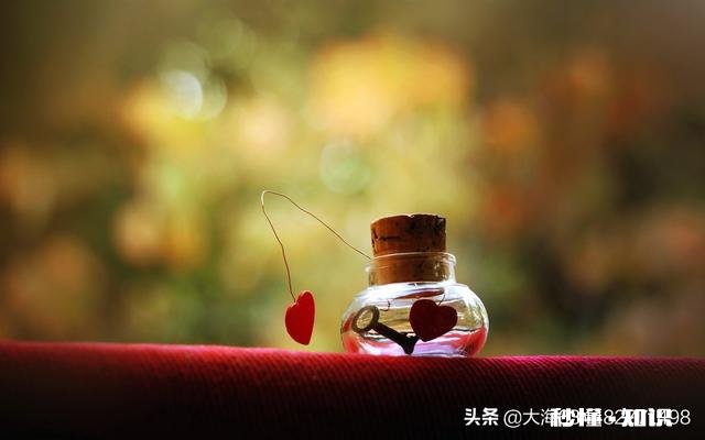 如何对待爱情婚姻中的对方