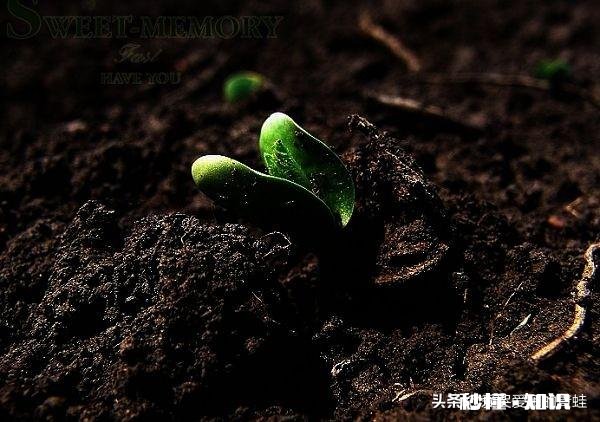 幼儿园小朋友发癔症正常吗