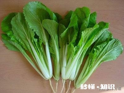 雨水后春分前能露地种小白菜吗为什么