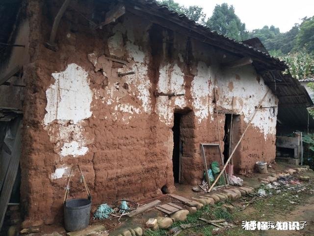 一生都没有正经工作，但却能生存下来的人有多少