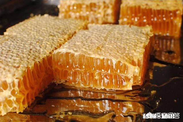 我想买蜂蜜，意蜂蜜好还是土蜂蜜好，可介绍推荐下好吗