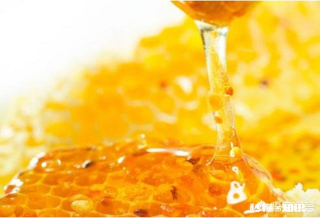 我想买蜂蜜，意蜂蜜好还是土蜂蜜好，可介绍推荐下好吗