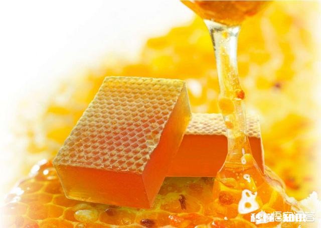 我想买蜂蜜，意蜂蜜好还是土蜂蜜好，可介绍推荐下好吗