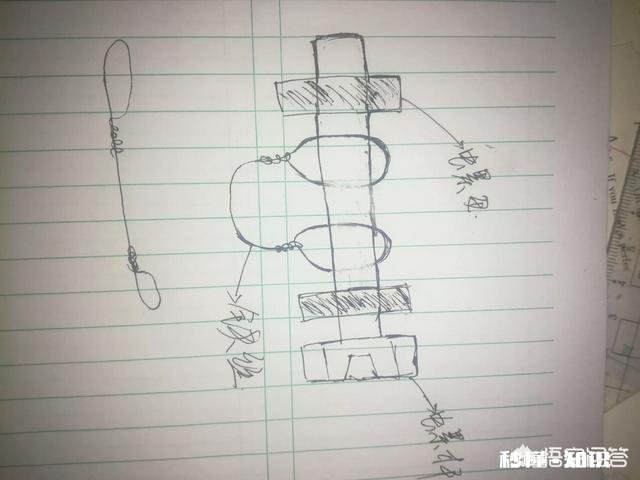 柳木菜墩子裂了该怎么办