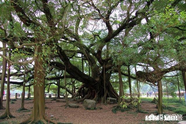 炎热的夏天，自驾游去哪里比较好呢