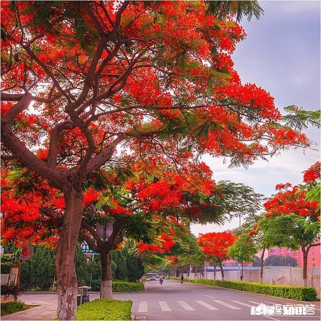 炎热的夏天，自驾游去哪里比较好呢