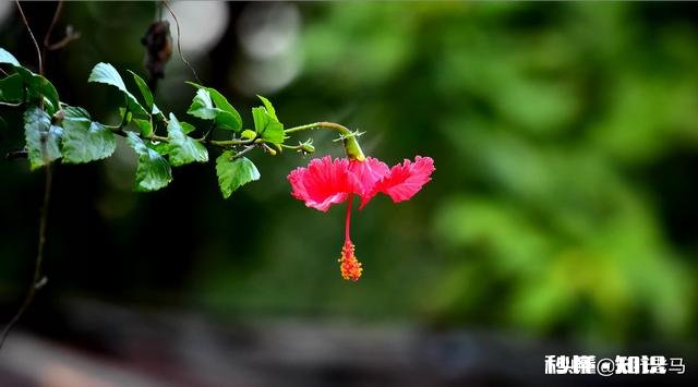 前列腺癌已转移全身大便失禁还能活多久该怎么做