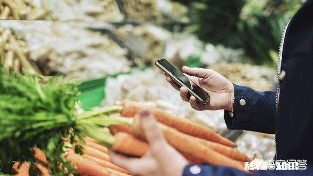 2019年，美团会如何发展