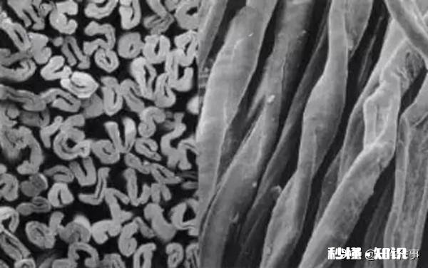 女装的布料如何选择