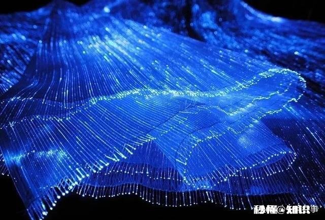 女装的布料如何选择