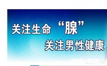 得了前列腺增生，吃什么中药比较好