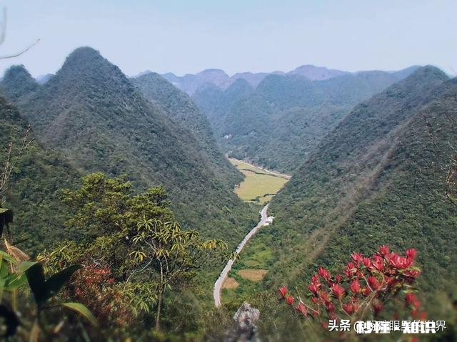 如果有时间去旅行，你最想去的地方是哪里为什么