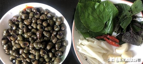 炒田螺放不放姜为什么