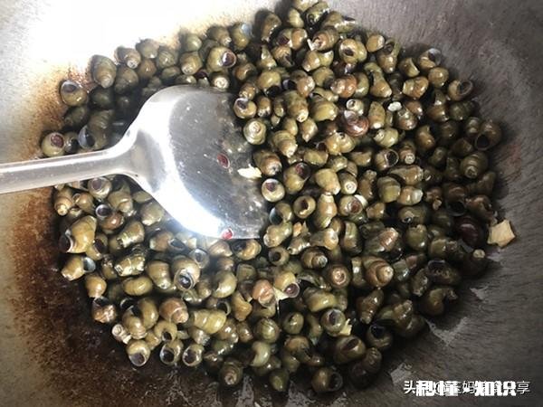 炒田螺放不放姜为什么