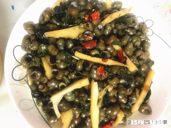 炒田螺放不放姜为什么