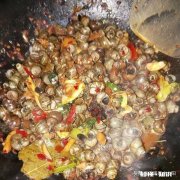 炒田螺放不放姜为什么