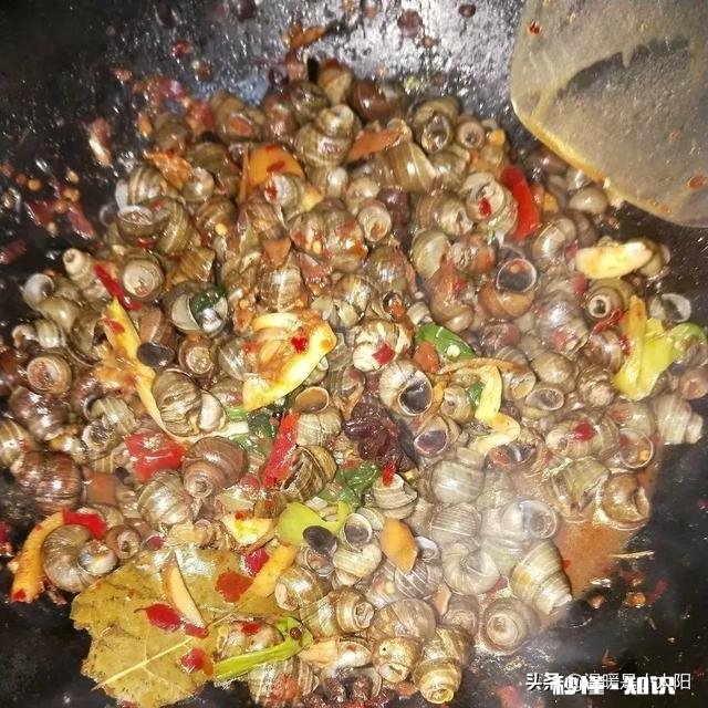 炒田螺放不放姜为什么