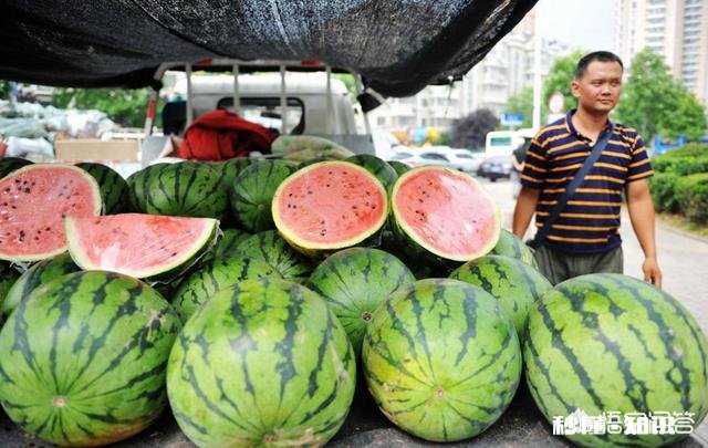 西瓜涨价30%，接下来西瓜价格还会上涨多少