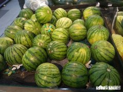 西瓜涨价30%，接下来西瓜价格还会上涨多少