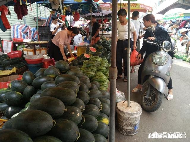 西瓜涨价30%，接下来西瓜价格还会上涨多少