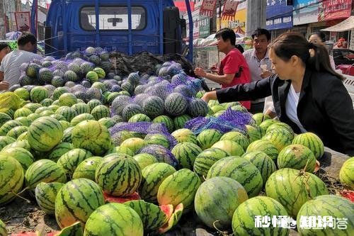 西瓜涨价30%，接下来西瓜价格还会上涨多少