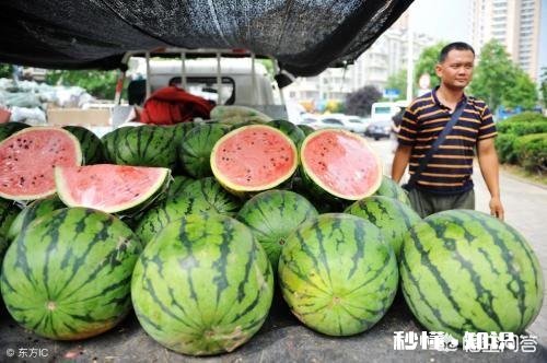 西瓜涨价30%，接下来西瓜价格还会上涨多少