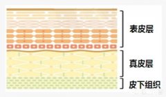 为什么有些敷完面膜第二天脸会比较干