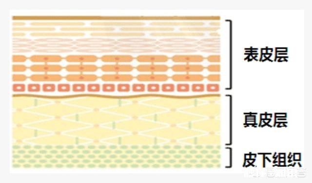 为什么有些敷完面膜第二天脸会比较干