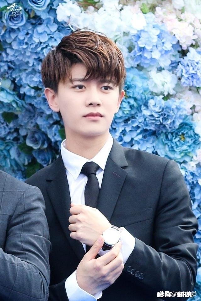 这年头演戏真正靠演技的火的，真不多，任嘉伦算吗