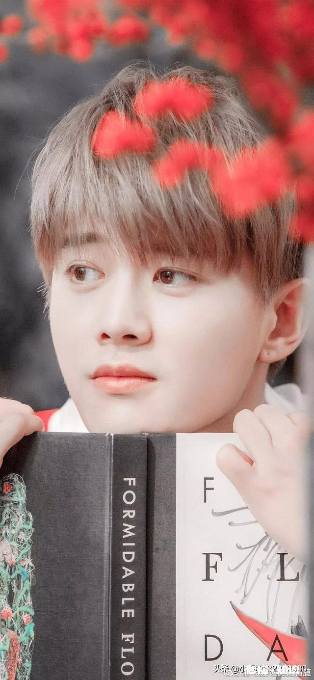 这年头演戏真正靠演技的火的，真不多，任嘉伦算吗