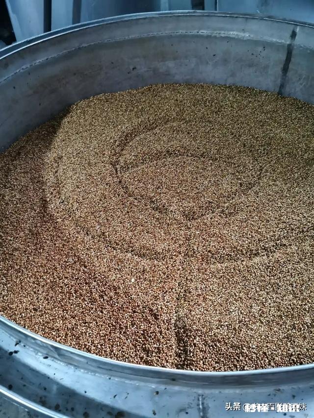 高粱什么时候价格便宜点