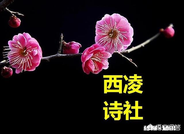 对脚踏两只船的女人，你有什么看法