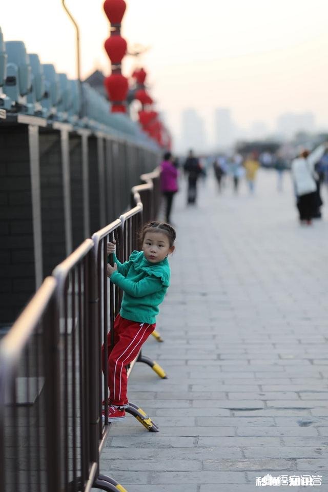 适马85-1.4和佳能85-1.4的镜头比较，哪个好