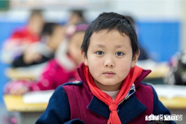 适马85-1.4和佳能85-1.4的镜头比较，哪个好