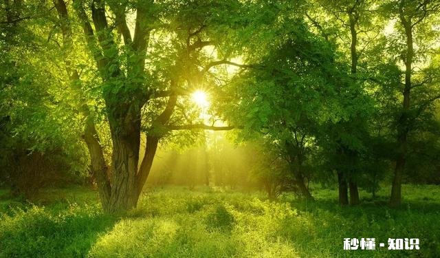 太爱他了不想离开他，明知道结果却还是一意孤行了，每天一不理我就好难受，爱得太深了该怎么办