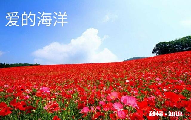 太爱他了不想离开他，明知道结果却还是一意孤行了，每天一不理我就好难受，爱得太深了该怎么办