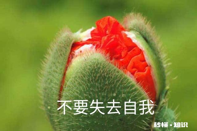 太爱他了不想离开他，明知道结果却还是一意孤行了，每天一不理我就好难受，爱得太深了该怎么办