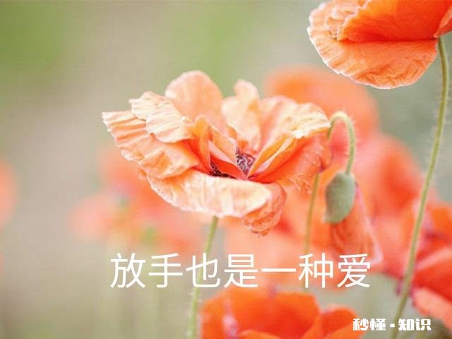 太爱他了不想离开他，明知道结果却还是一意孤行了，每天一不理我就好难受，爱得太深了该怎么办