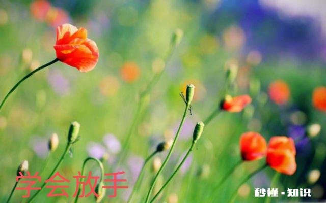 太爱他了不想离开他，明知道结果却还是一意孤行了，每天一不理我就好难受，爱得太深了该怎么办