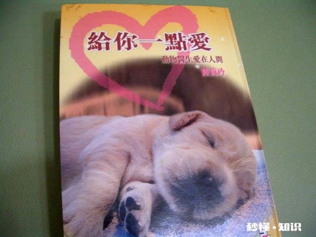 太爱他了不想离开他，明知道结果却还是一意孤行了，每天一不理我就好难受，爱得太深了该怎么办