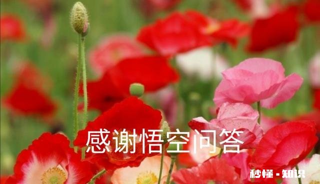 太爱他了不想离开他，明知道结果却还是一意孤行了，每天一不理我就好难受，爱得太深了该怎么办