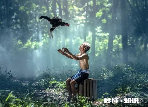 年轻人都在外打工，自己却只能在家种地，压力大怎么办