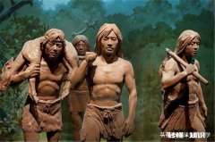 食物链中有最高统治者么